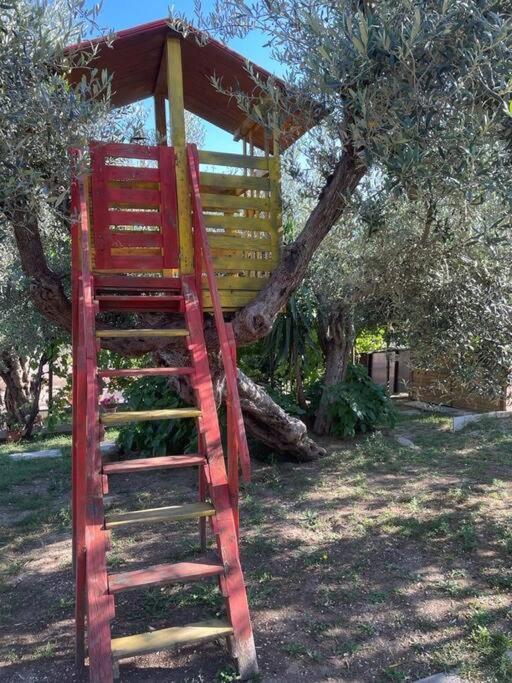 La Dimora Delle Rose Apartment Passignano sul Trasimeno Exterior photo