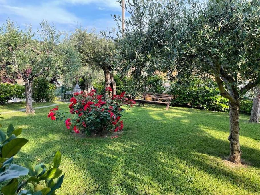 La Dimora Delle Rose Apartment Passignano sul Trasimeno Exterior photo